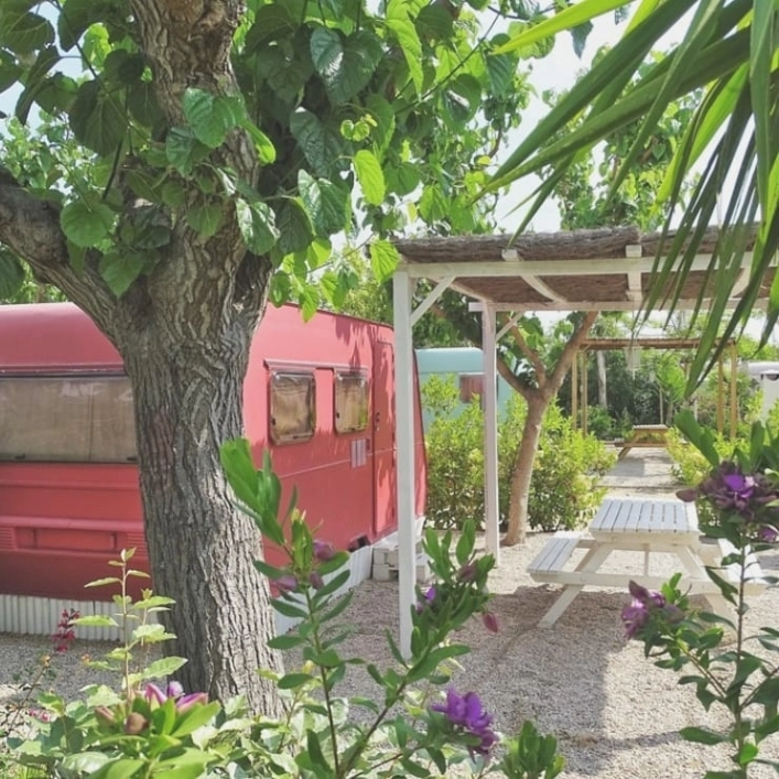 zobacz camping - zdjęcie 7