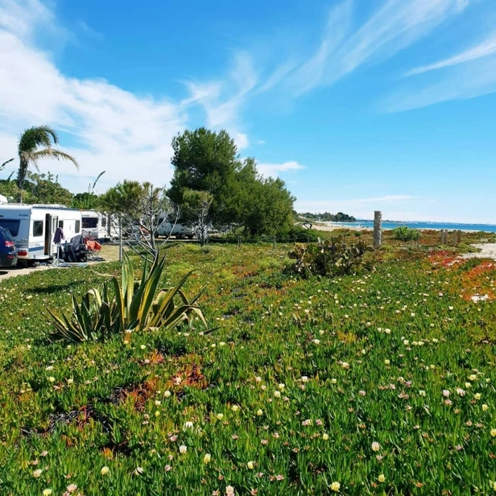 Camping Miramar - zdjęcie 3