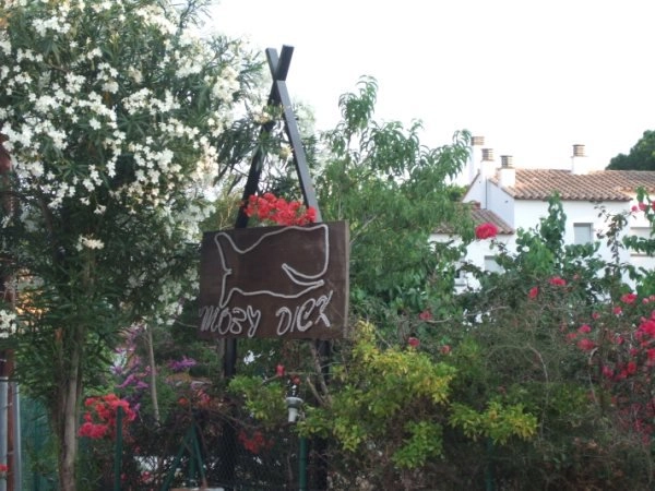 zobacz camping - zdjęcie 24