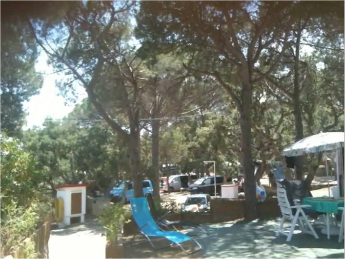 zobacz camping - zdjęcie 1