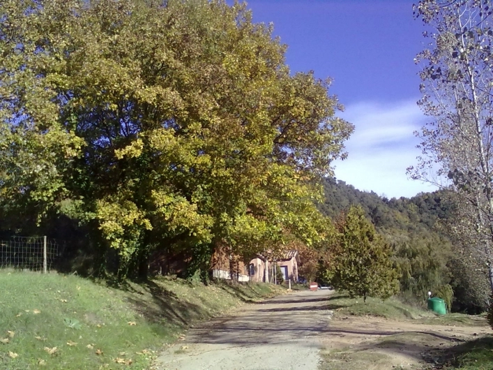 Camping Molí De Bojons - zdjęcie 3