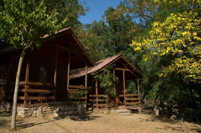 zobacz camping - zdjęcie 6