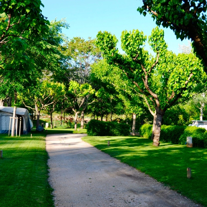 zobacz camping - zdjęcie 34