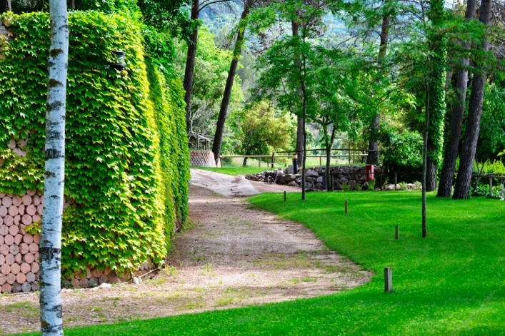 zobacz camping - zdjęcie 26