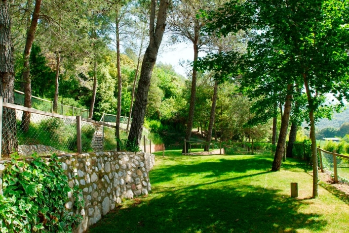 zobacz camping - zdjęcie 24