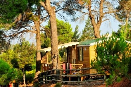 zobacz camping - zdjęcie 12