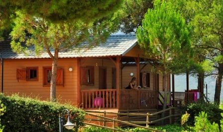 zobacz camping - zdjęcie 1