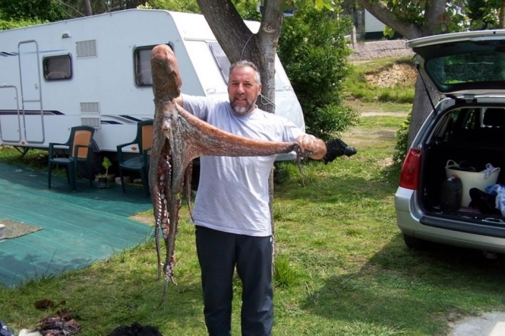 Camping Monte Cabo - zdjęcie 1