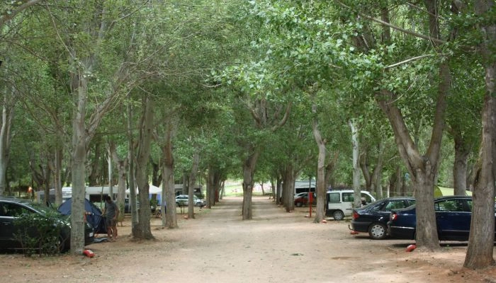Camping Montesinos - zdjęcie 4