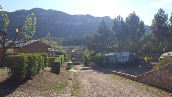 zobacz camping - zdjęcie 29