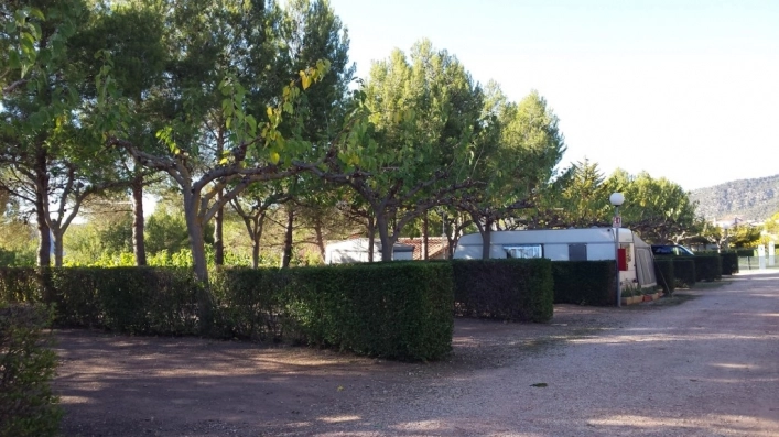 zobacz camping - zdjęcie 24