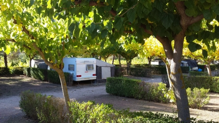 zobacz camping - zdjęcie 20