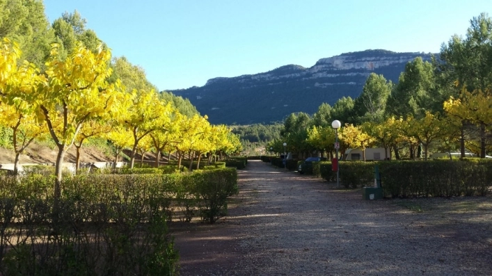 zobacz camping - zdjęcie 12