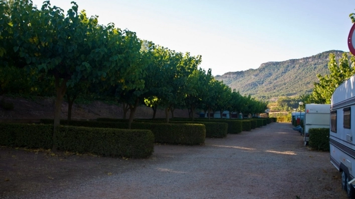 zobacz camping - zdjęcie 3