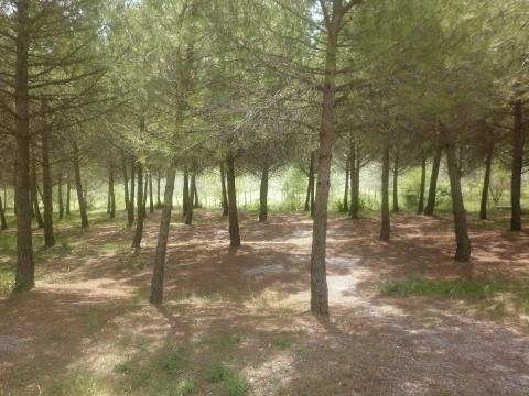 zobacz camping - zdjęcie 24