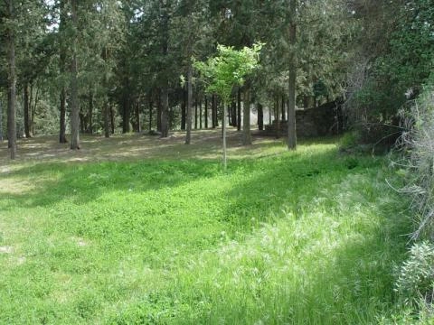 zobacz camping - zdjęcie 23