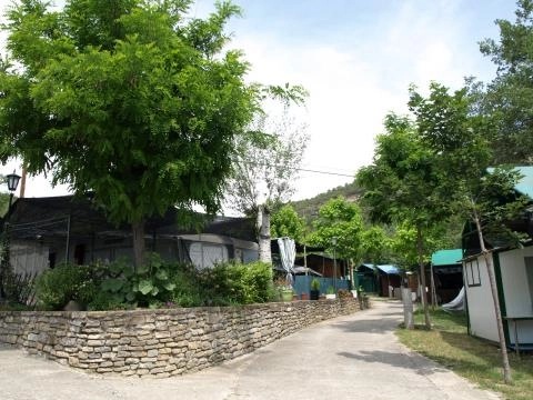 zobacz camping - zdjęcie 21