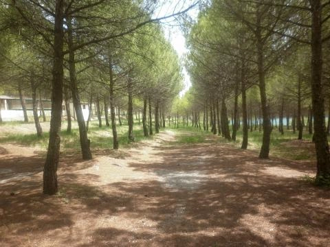 zobacz camping - zdjęcie 17