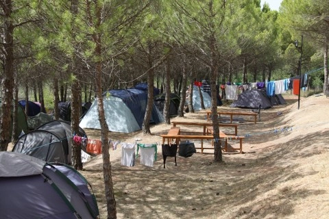 zobacz camping - zdjęcie 8