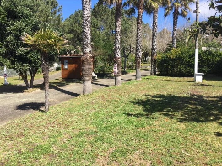 zobacz camping - zdjęcie 13