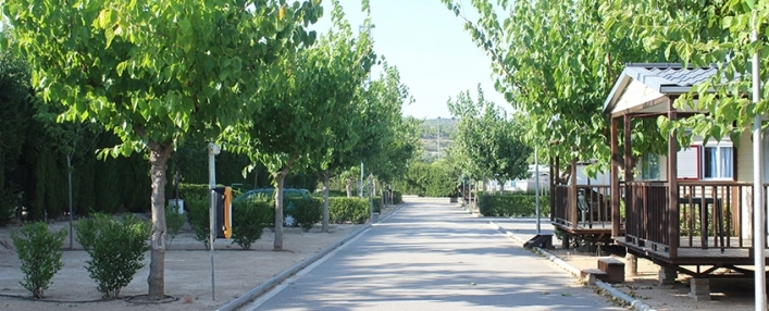 zobacz camping - zdjęcie 20