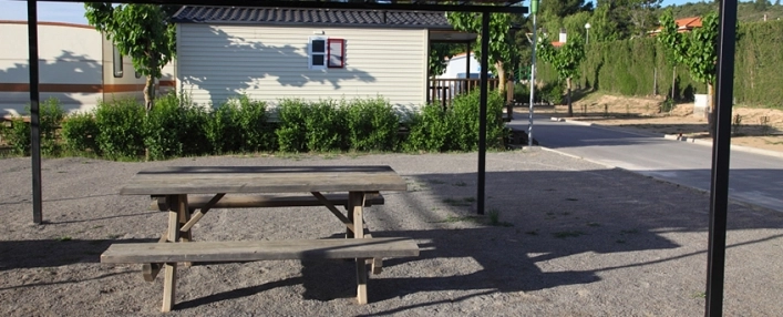 zobacz camping - zdjęcie 9