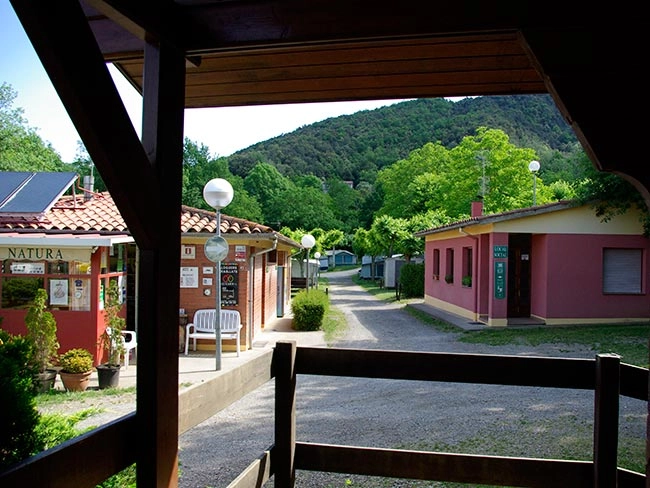 zobacz camping - zdjęcie 5