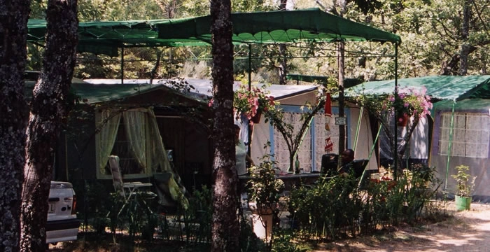 zobacz camping - zdjęcie 20