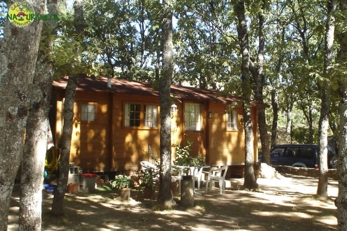 zobacz camping - zdjęcie 19