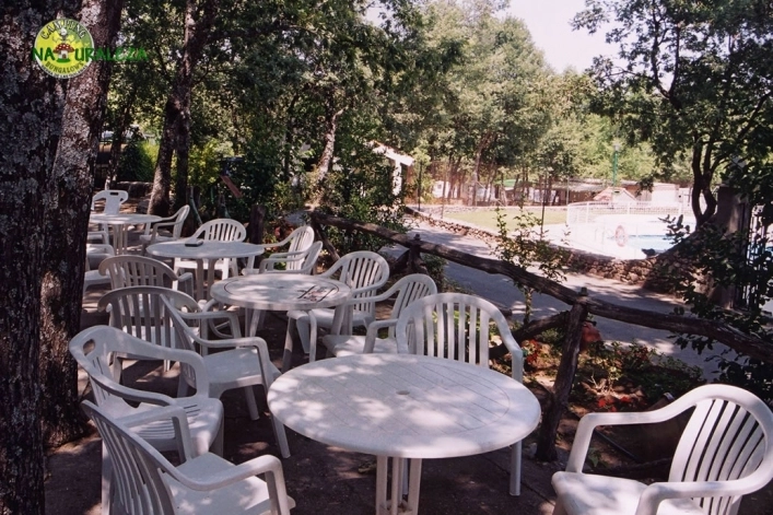 zobacz camping - zdjęcie 16