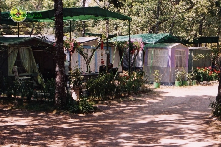 zobacz camping - zdjęcie 11