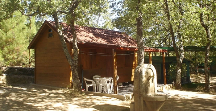 zobacz camping - zdjęcie 2