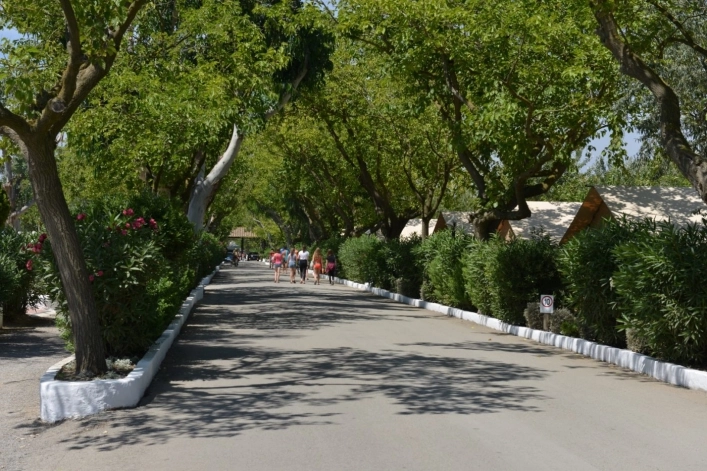 zobacz camping - zdjęcie 35