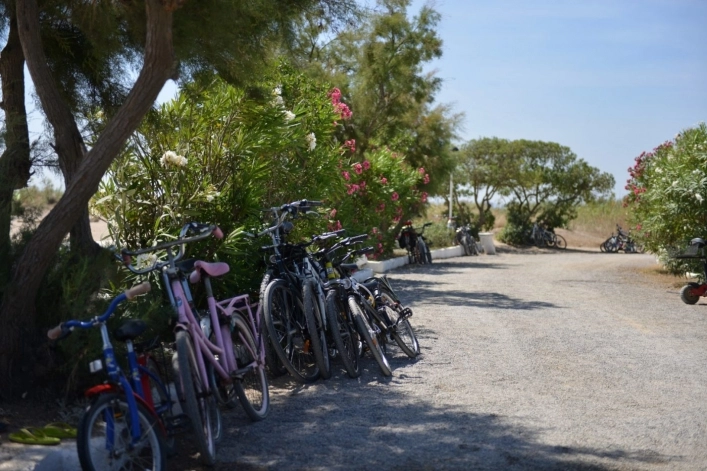 zobacz camping - zdjęcie 34