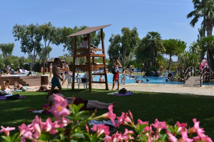 zobacz camping - zdjęcie 29