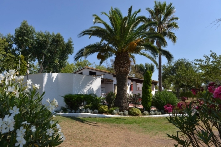 zobacz camping - zdjęcie 18