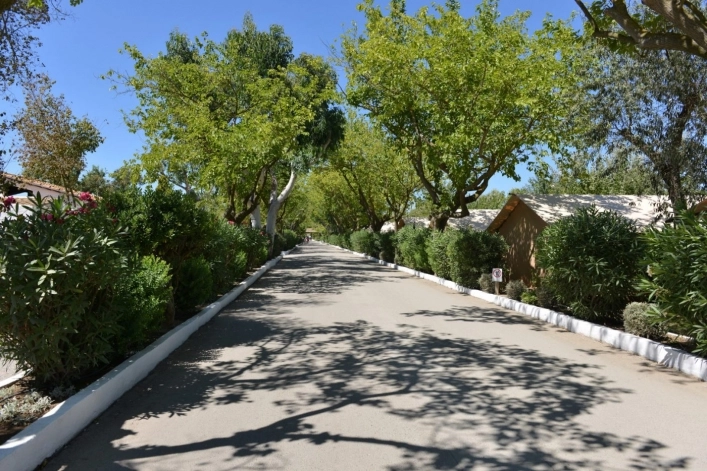 zobacz camping - zdjęcie 17