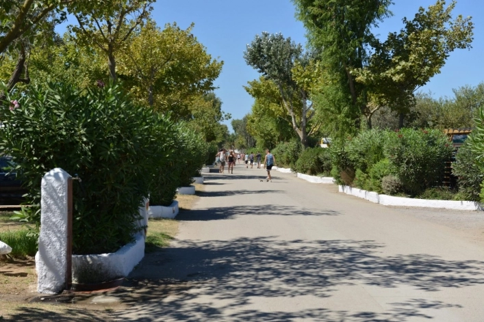 zobacz camping - zdjęcie 13