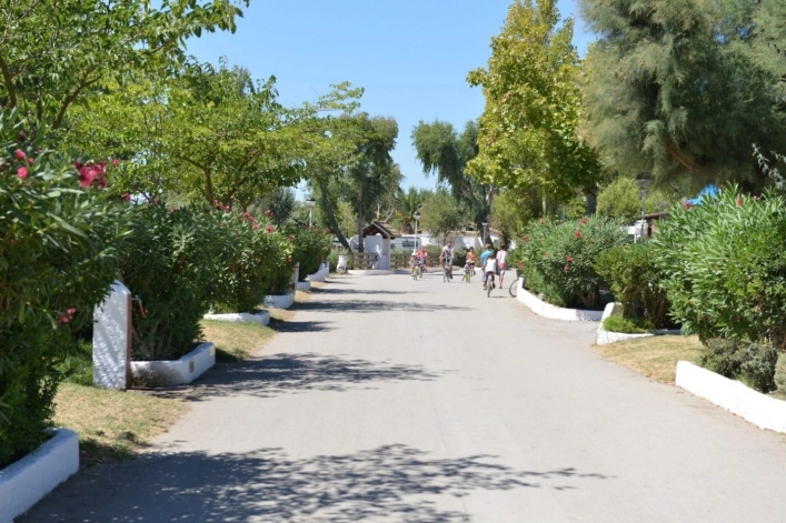 zobacz camping - zdjęcie 11