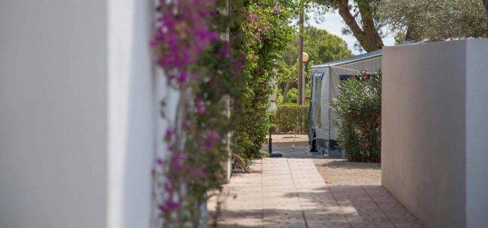 zobacz camping - zdjęcie 22