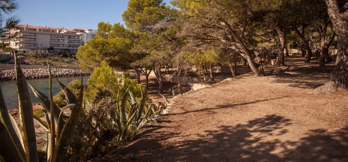 zobacz camping - zdjęcie 14