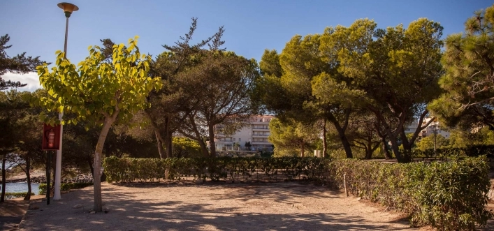 zobacz camping - zdjęcie 13