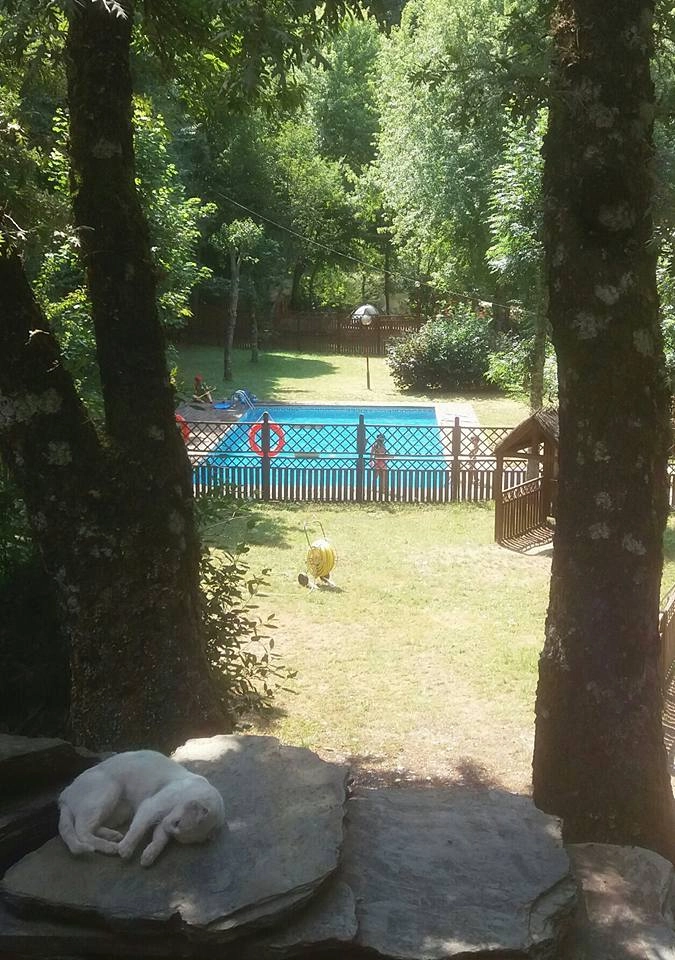 zobacz camping - zdjęcie 12