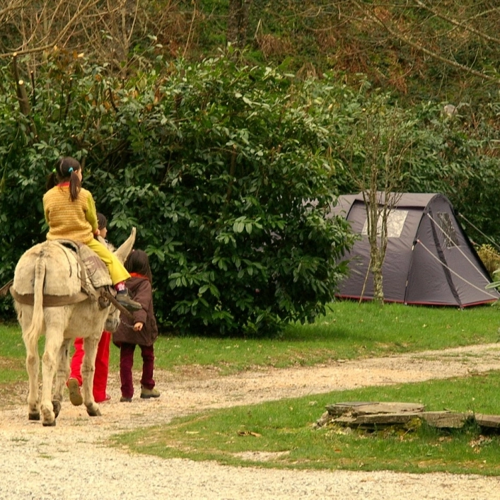 zobacz camping - zdjęcie 4