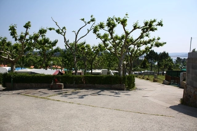 zobacz camping - zdjęcie 17