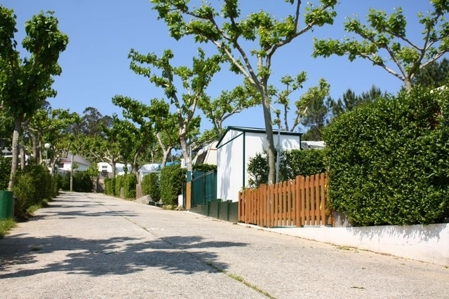 zobacz camping - zdjęcie 14