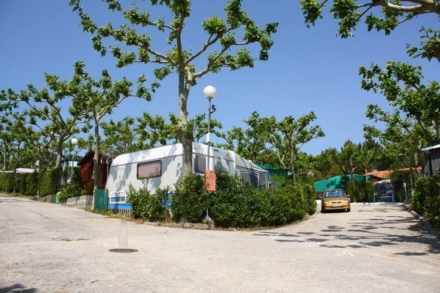 zobacz camping - zdjęcie 10