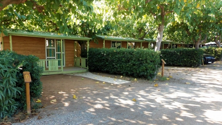 zobacz camping - zdjęcie 22