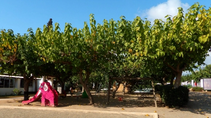 zobacz camping - zdjęcie 3