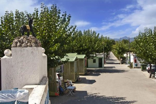 zobacz camping - zdjęcie 12